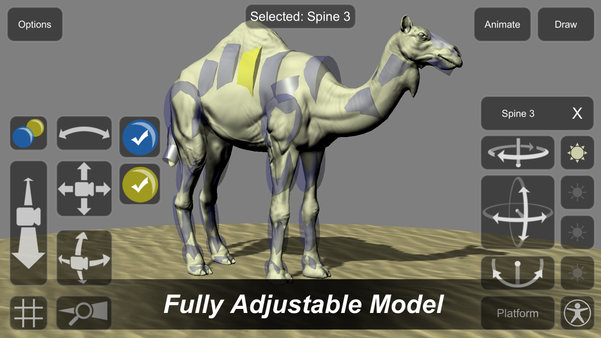 Camel Mannequin – 3D Mannequins